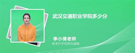 武汉职业技术学院教务系统登录入口http://jwxt.wtc.edu.cn/admin/login - 学参网