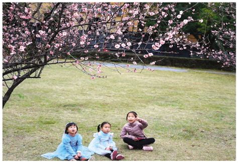 春来夏往 秋收冬藏，我们来日方长·发现桂林之美系列专题第十五期-桂林生活网
