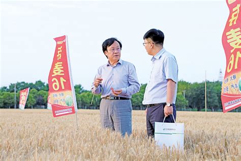 仲英作物种业创新中心“走进种业”系列特色活动--中国种业精神公益宣传活动-仲英作物种业创新中心