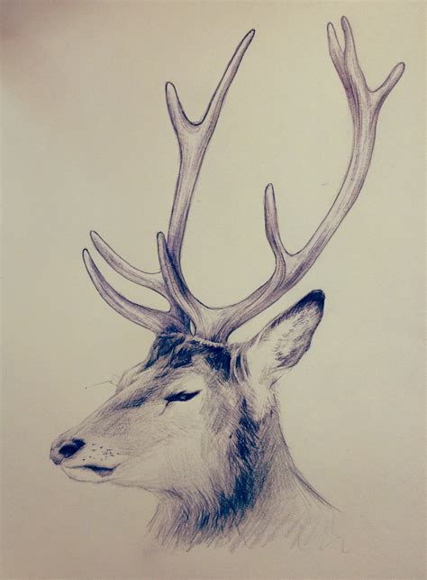 鹿怎么画简单,鹿怎么画简笔画,最简单的鹿画_大山谷图库