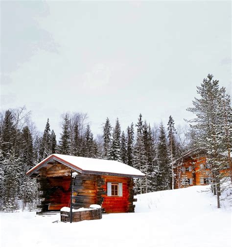 冬天雪森林树伍兹多云小木屋房子棚图片免费下载_自然风景素材免费下载_办图网
