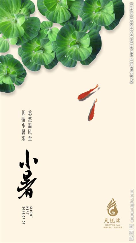 中医养生药材海报模板素材-正版图片400712892-摄图网
