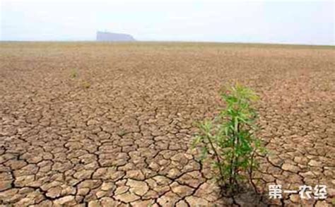江西旱情蔓延,300万亩农作物受旱！15万人饮水困难！ - 地方动态 - 第一农经网