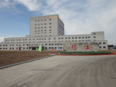 黑龙江省绥化市客户订购的大型全自动干豆腐机生产线装车发货