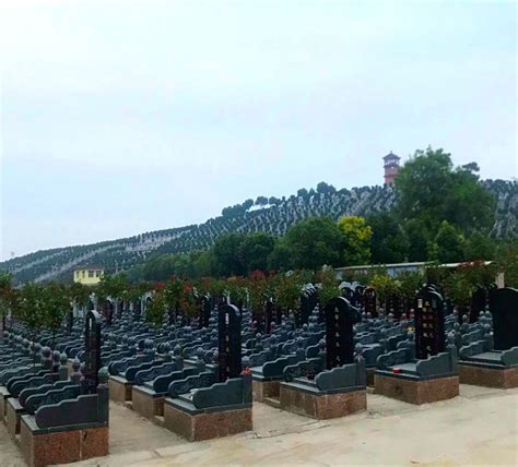 松柏家族_惠州龙岩艺术陵园开发有限公司|生态式陵园|惠州墓地|深圳周边墓园