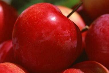 红苹果（水果） - 搜狗百科