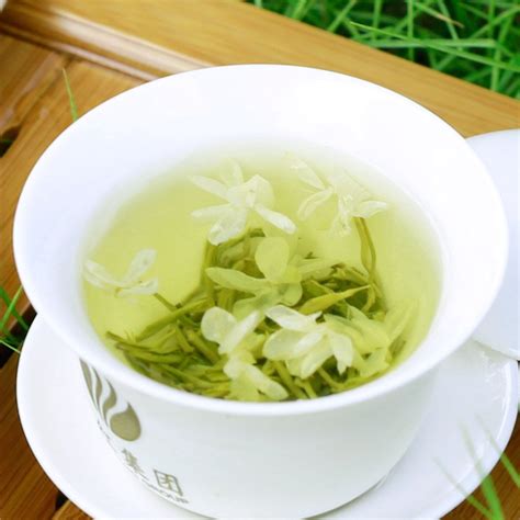 茉莉花茶的种类 常见的茉莉花茶品种介绍-润元昌普洱茶网