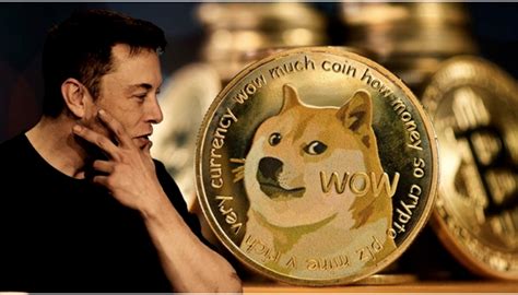 你预计狗狗币最终会达到比特币的水平吗？ – Pixabay网站介绍