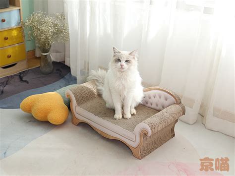 养猫家庭的沙发到底有多惨！不怕挠的沙发真的存在吗？ - 知乎