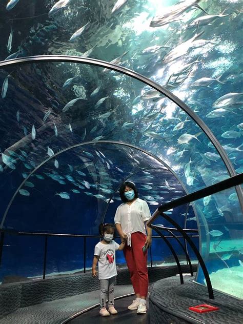世界上最好的海洋馆和动物园有哪些？ - 知乎