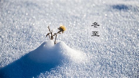 描写下雪的句子优美短句（50句大雪节气文案，浪漫又高级） | 说明书网