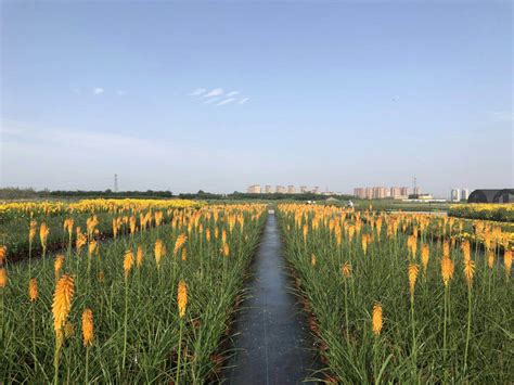 北京市花木有限公司董事长于学斌一行到仙湖植物园参观交流