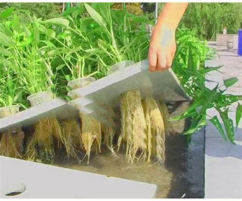 人工生态浮床技术-浮岛水上种植设备-生态装配式浮床-水上植物浮床-水面浮床-湖南八曲河环保科技有限公司
