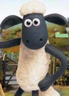 小羊肖恩系列动画全集-更新更全更受欢迎的影视网站-在线观看