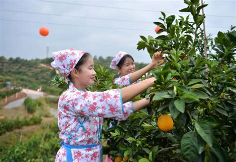 以橙为媒 带动更多农民致富——探访2021赣南脐橙博览会展厅瑞金馆 _www.isenlin.cn
