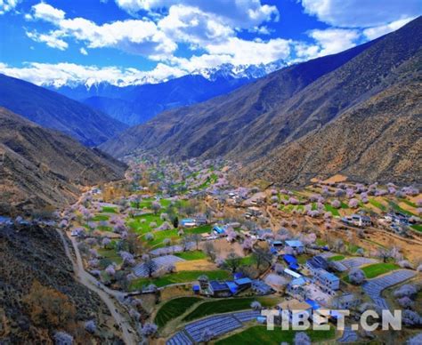 西藏山南：鸟瞰琼结县城-人民图片网