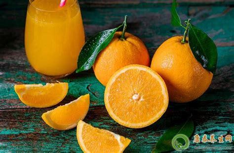 橙子的功效与作用、营养价值_健康大百科