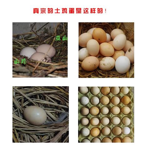 土鸡蛋【农副产品包装】-定制-厂家-规格-图片