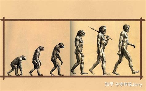 人类进化史，第1部分——下树冒险 - 视频 - CN Mozaik电子教育与学习