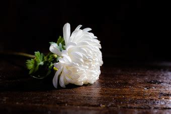 清明节白色菊花祭奠悼念素材图片免费下载-千库网
