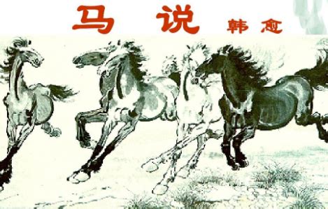 夸特马(Quarter Horse) ,美国最流行的马种【人文风情】_风尚中国网 -时尚奢侈品新媒体平台