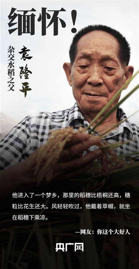 袁隆平：希望在“90前”实现超级稻17吨/公顷--湖南频道--人民网