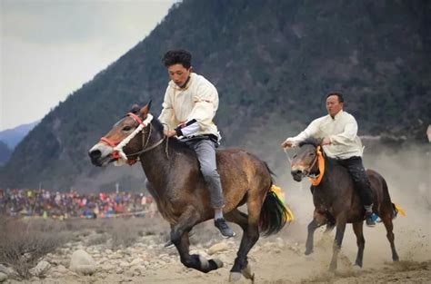 西藏林芝旅游文化招商推介会走进广州 -中国旅游新闻网