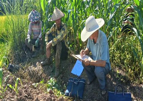 景谷开展农机质量调查 促进农机提质减损-中国农业机械化信息网