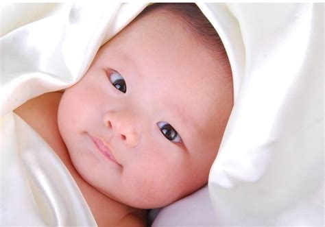 2023年出生男宝宝取名，2023年出生的宝宝取名_起名_若朴堂文化