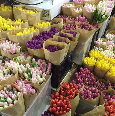 北京有哪些好的鲜花批发市场花卉市场? - 知乎