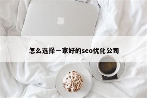 如何选择seo公司（seo站群技术）-8848SEO