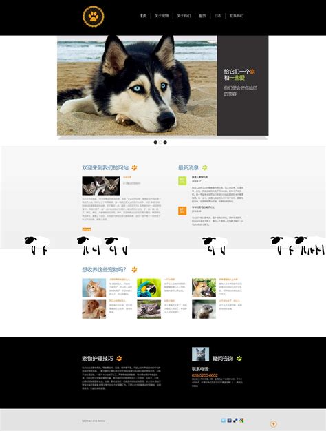 优质宠物犬领养官网网站模板_精美html宠物狗种类网页模板【免费使用】-凡科建站