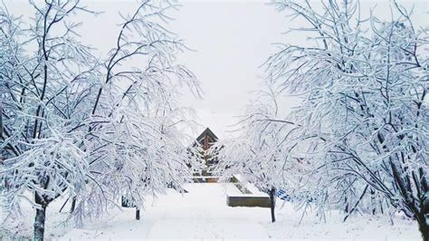 冬季雪景摄影图__自然风景_自然景观_摄影图库_昵图网nipic.com