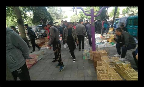 济南最大露天早市恢复开放！购买瓜果蔬菜的市民络绎不绝_北京日报网