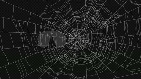 【4K】蜘蛛网动画8款_视频素材包下载(编号:4324601)_影视包装_VJ师网 www.vjshi.com