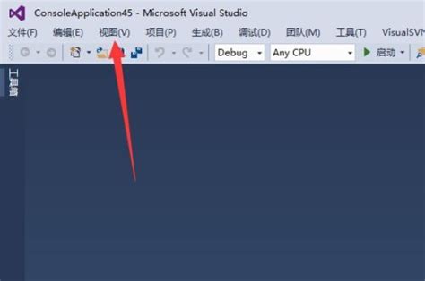 Visual Studio 2019右侧的项目目录没有了怎么办-项目目录没有了的解决方法_华军软件园