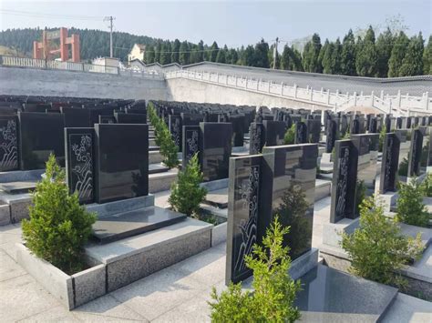 新市镇：公益性公墓建设 让殡葬更绿色、更文明、更惠民