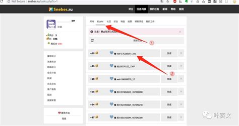 如何将VK网页版界面设置为汉语界面