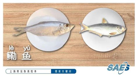 盘点寿司里常见的鱼的名字，值得收藏！ - 知乎
