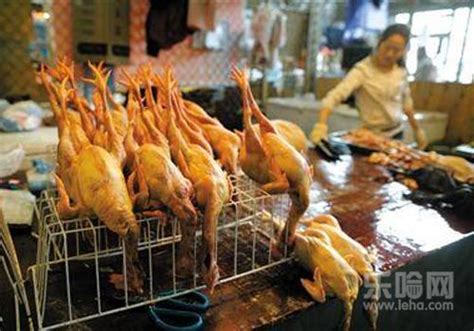 法中新闻:H7N9禽流感最新消息：近日河北出现首例确诊病例