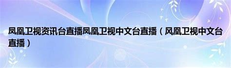 凤凰卫视中文台 资讯台栏目价目表_凤凰卫视