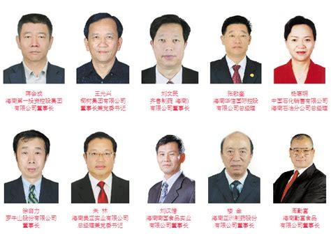 2017年海南省百强企业全名单发布-海南软件开发公司
