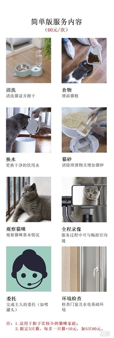 上门喂猫海报AI广告设计素材海报模板免费下载-享设计
