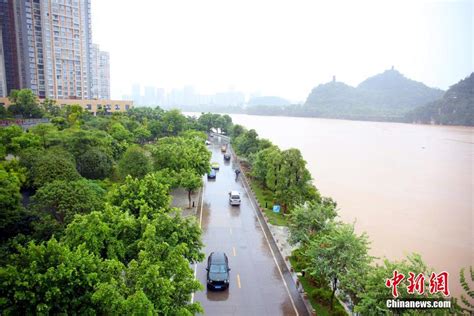 雨水冲击广西河流水位上涨 民众雨中网鱼_福田网
