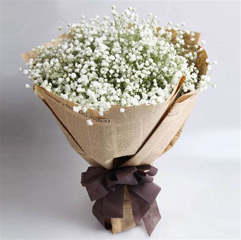 纯纯的爱恋-11朵白玫瑰，搭配蓝色满天星。-全国送货上门优惠价格:265元-168鲜花速递网。