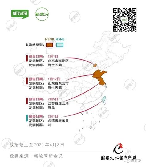 组图：中国多地备战H7N9禽流感-新闻中心-南海网