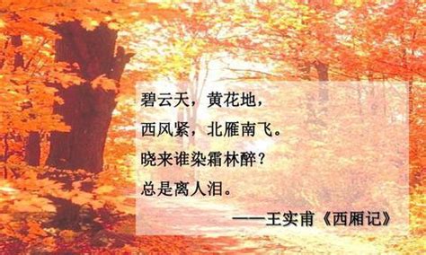十年饮冰，难凉热血：读懂苏轼的这几首词，你就读懂了人生 - 知乎