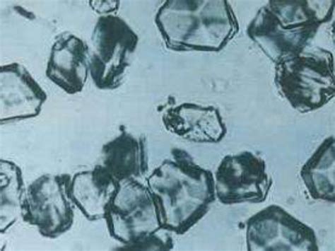 1965年8月3日我国首次人工合成了牛胰岛素结晶 - 历史上的今天