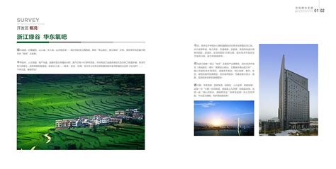 浙报整版聚焦 | “浙”十年·丽水 打开山门 开辟高质量绿色发展新路