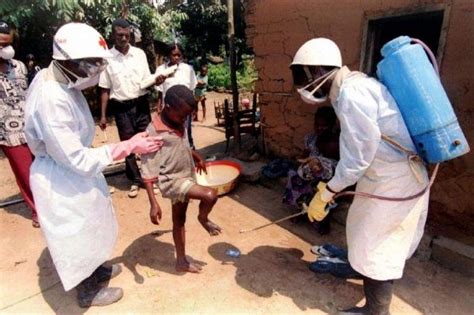 什么是埃博拉病毒 如何防范埃博拉病毒_济南齐鲁花园医院